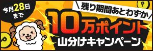 ニフティポイントクラブ ニフティポイントクラブ